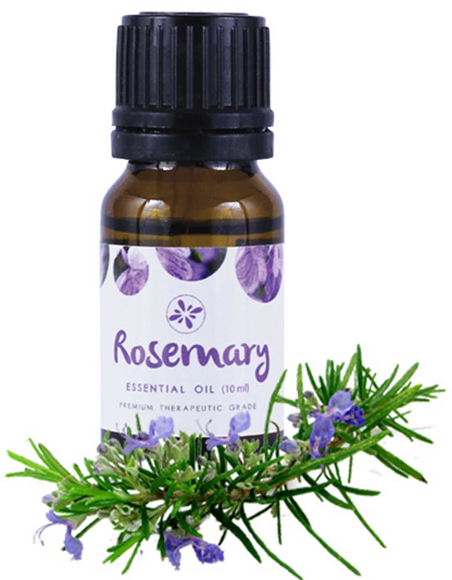 Skin Cafe Rosemary Essential Oil